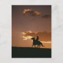 Recherche de galopant cartes postales Cheval