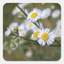 Search for flower picture stickers White