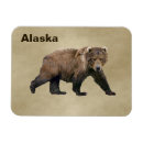 Recherche de bear magnete Animaux