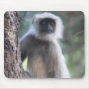 Search for agile mousepads Outdoors