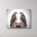 Search for red tail hawk art Wildlife
