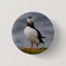 Search for puffins buttons Bird