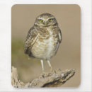 Search for birder mousepads Animal