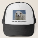 Search for casquettes Funny
