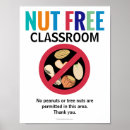 Search for allergy posters Nut