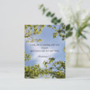 Recherche de prophète cartes postales Bible