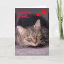 Search for tiger valentines day cards Cat