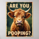 Recherche de vache écossaise posters Vache des highlands