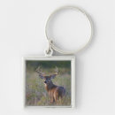 Search for deer buck keychains Autumn