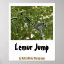 Search for lemur monkey posters Animal