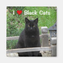 Recherche de love magnets Chat