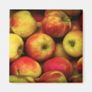 Search for apple kitchen magnets Fruit