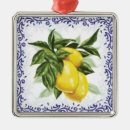 Search for toile ornaments French