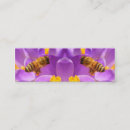 Recherche de crocus cartes visite Nature