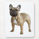 Search for french bulldog mousepads Puppy