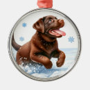 Search for playful ornaments Dog lover