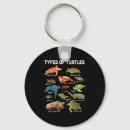 Search for turtle keychains Animal