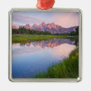 Search for jackson hole ornaments Nature