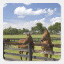 Search for horse farm stickers Rural