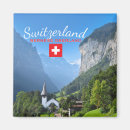 Search for bernese mountain magnets Switzerland