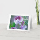 Search for aunty photography Flower