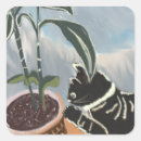 Search for house cat stickers Animal