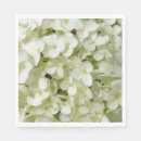 Search for hydrangeas Flowers