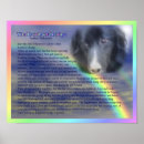 Search for rainbow bridge poem pets Bereavement