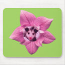 Recherche de opossum tapis souris Pour tous