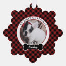 Search for buffalo check ornaments Cat