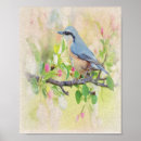 Recherche de fanatique posters Animal