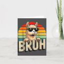 Search for pinata cards Llama