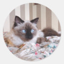 Search for kawaii eye stickers Retro