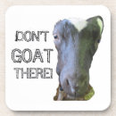 Search for goat coasters Pet