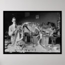 Search for dinosaur skeleton posters Photography