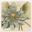Recherche de fleur lotus dessous de verres Tropical