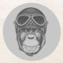 Search for chimpanzee monkey coasters Funny