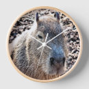 Recherche de animaux horloges Vie sauvage