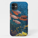 Search for beach coral reef iphone cases Boat