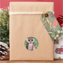 Recherche de petits hiboux autocollants Oiseaux