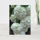 Search for wedding mothers day cards Blank