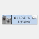 Search for painting bumper stickers Black