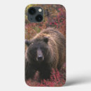 Search for ursus arctos electronics Environment