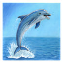 Search for love dolphins posters Nature