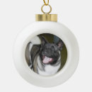 Search for akita ornaments Puppy