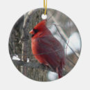 Recherche de cardinal photo ornements Photographie