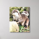 Recherche de animaux sauvages art Loutre