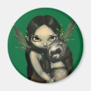 Search for ferret magnets Pet