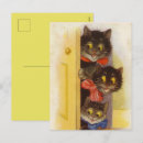 Search for just checking in postcards Cat
