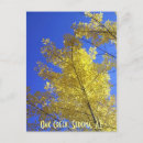 Search for az postcards Usa
